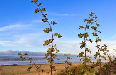 The Furze Farmhouse near St Andrews - Photo 35
