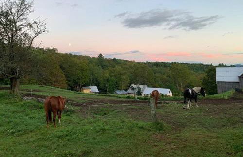 The Creek Cabin at Sky Hollow - Foto 24