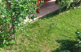 Apartman Roža - Photo 16