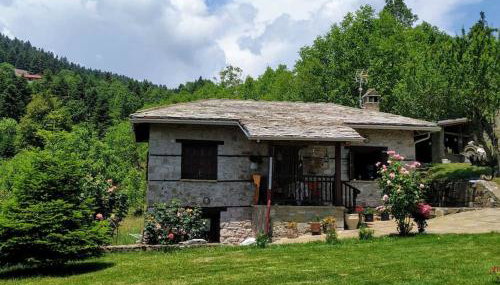 Παραδοσιακή πέτρινη κατοικία στην Βλάχα Ελάτης - Foto 2