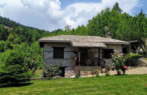 Παραδοσιακή πέτρινη κατοικία στην Βλάχα Ελάτης - Foto 2