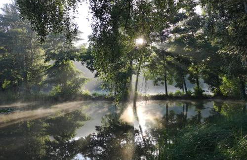 Ferienhaus am Badesee Schönsee Bungalow 12 - Foto 21