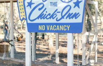 Schoaf Cottage at Wrenwood Ranch - Foto 21