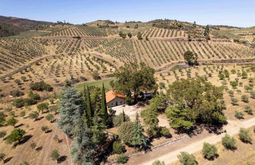 Acushla Original House Douro - Foto 12