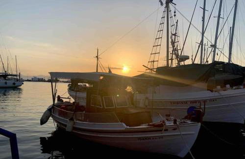 Souvala /Aegina. Excellent location Luxury villa. - Foto 61