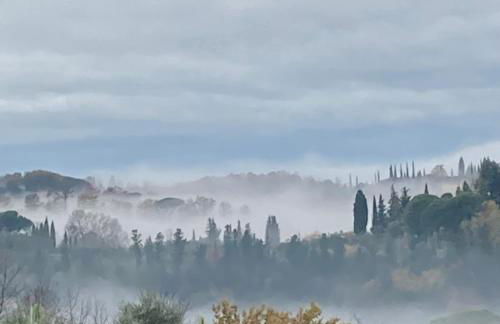 Appartamento con terrazza privata e giardino vicino a Pisa e Firenze - Foto 45