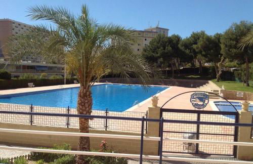 Acogedor Bungalow - Club del Mar - Photo 5