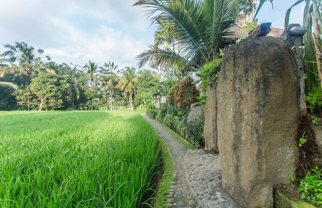 Ubud Luwih Villa - Foto 65