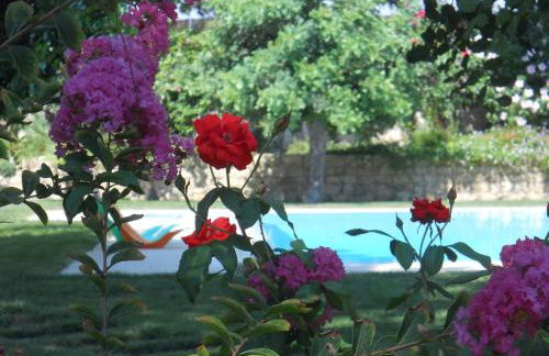 Il Giardino Dei Carrubi - Foto 21