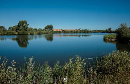 La Grande Pommeraie - Foto 37