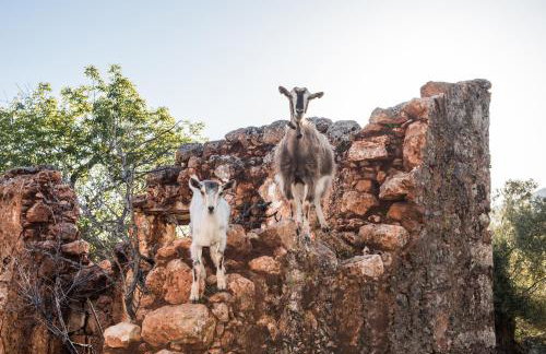ARADENA TRADITIONAL House 1 - Photo 17