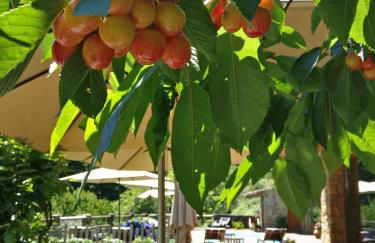 Mountain Whisper - Foto 102