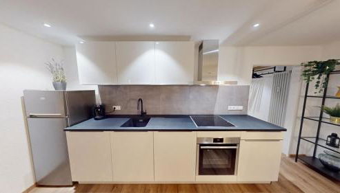 Der Platzhirsch - Design-Apartment in grüner Oase - Foto 5, stove, dishwasher