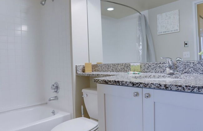 Spacious Apartment at Pentagon City - Photo 27