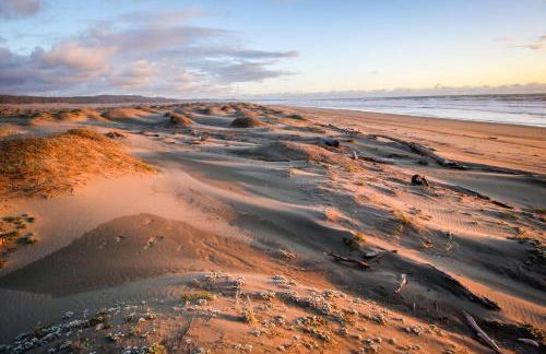 Dolphin Manor - Foto 22