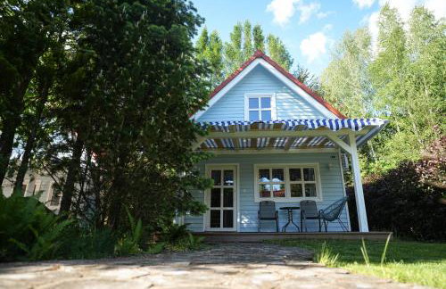 Kwiat Paproci - Foto 33