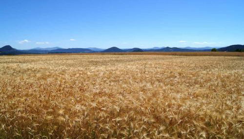 Maison familiale au cœur de la Haute-Loire - Randos et découverte du Puy-en-Velay - FR-1-582-322 - Foto 2