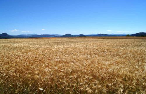 Maison familiale au cœur de la Haute-Loire - Randos et découverte du Puy-en-Velay - FR-1-582-322 - Foto 2