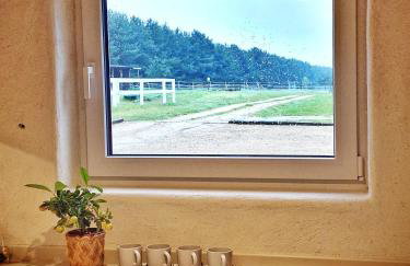 DomkiTomki, Winnica Sindaco - Foto 53