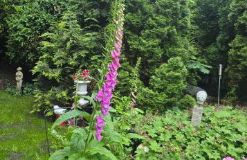 Oase am Deich - Photo 2