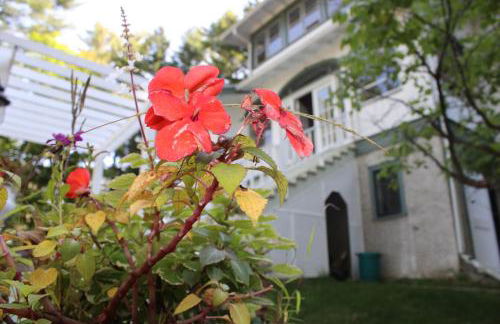 The Hillside B&B. Home w/ Breakfast Service! - Foto 31