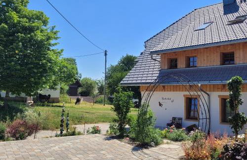 Fischerhof - Foto 19