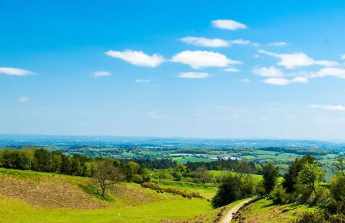 Cobbler's Cottage - Foto 28