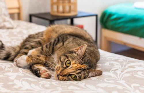 Agroturystyka Świętego Józefa - Foto 42