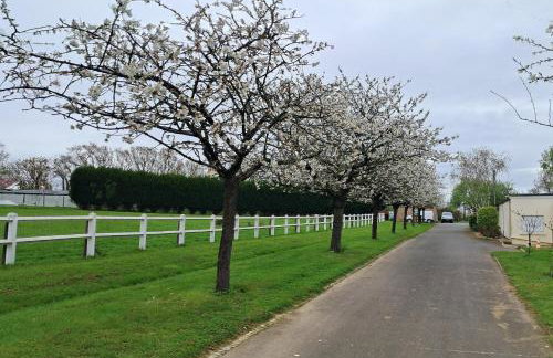 GÎTE Le REFUGE - Foto 23