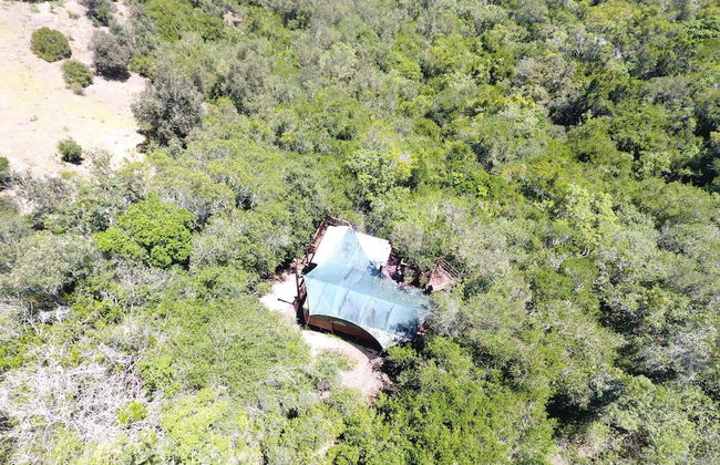 Teniqua Treetops - Foto 20