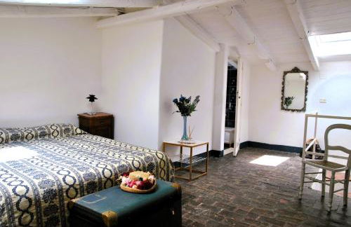 Giardino dei limoni nel Borgo di Maranola a Formia - Foto 13