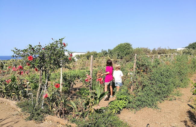 Agriturismo Hibiscus - Photo 36