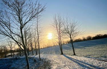 Ferienwohnung Ostseefeuer - Foto 79