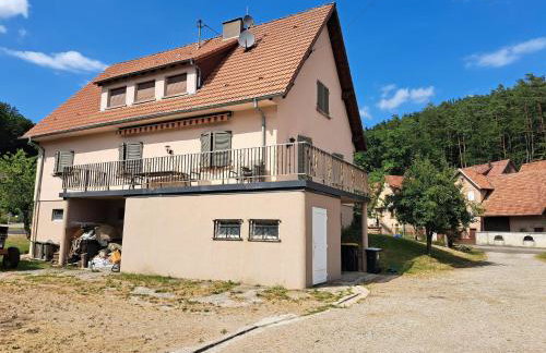 Holiday Home in Reipertswiller Near Castle - Foto 44