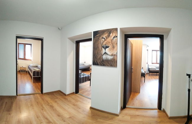 Villa u Arény - Foto 13