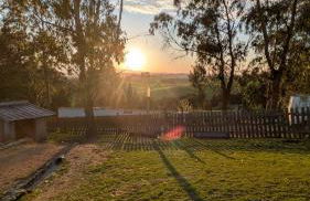 Herdade da Hera - Foto 61