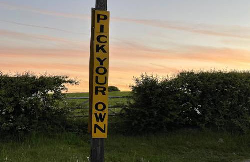 Pine Cottage cosy 3 bed sleeps 4 - dogs very welcome - Foto 35