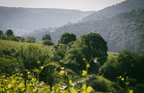 Bürgstadt, Am Bischof mit Sonnenterrasse, 1 bis 4 Betten - Foto 67