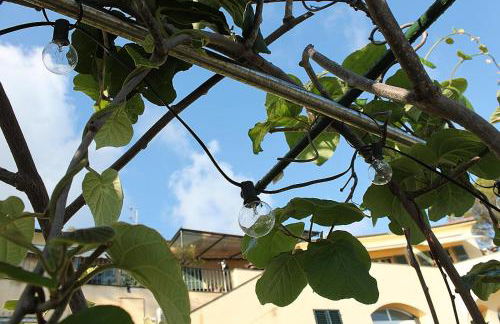 MareNostrum - Photo 29