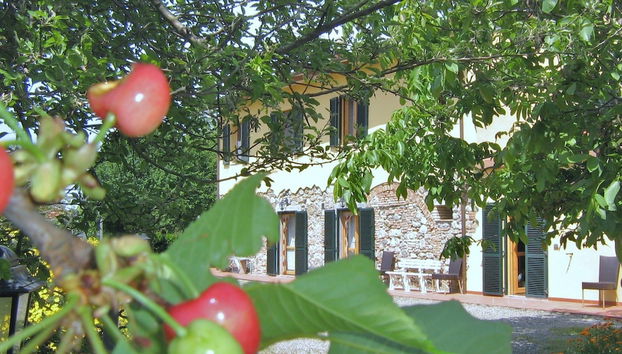 Agriturismo Il Gelso - Foto 2, Imagen principal