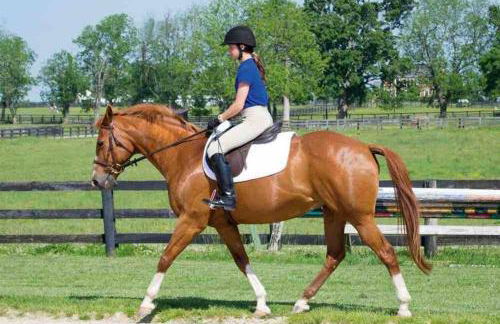 NatureGlow Residence Stylish Contemporary Home - Foto 45