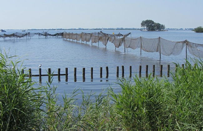 De Mariahoeve - Foto 16