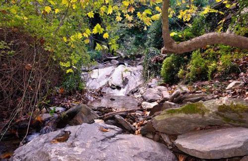 House in Εndless green - Arethousa, Ikaria - Photo 43