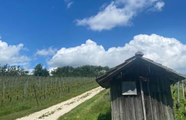 Cozy home in South-germany - Foto 27