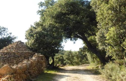 MOLINO DOLZ - Foto 18