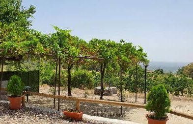 casa Rural Las Traviesas - Foto 9