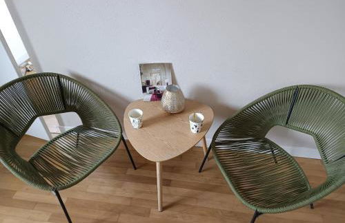 Grand appartement 80 m2 centre ville lumineux - Foto 7