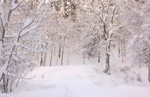 al Profilo di Napoleone - Photo 33