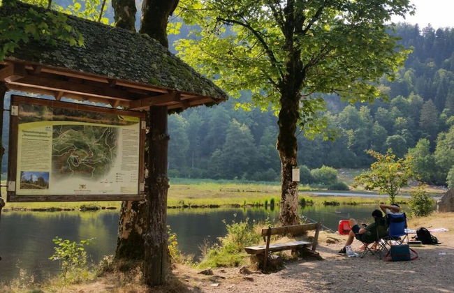 Landhuis Appartement Feldberg Uitzicht - Foto 23