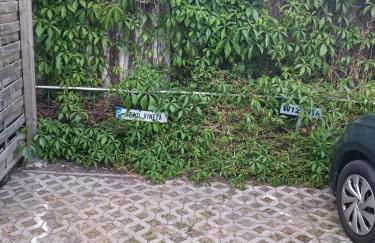 FeWo Vineta - Photo 18